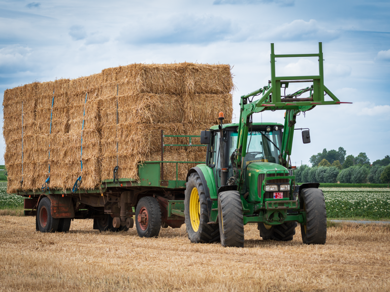 Straw bales that can be used in building construction.