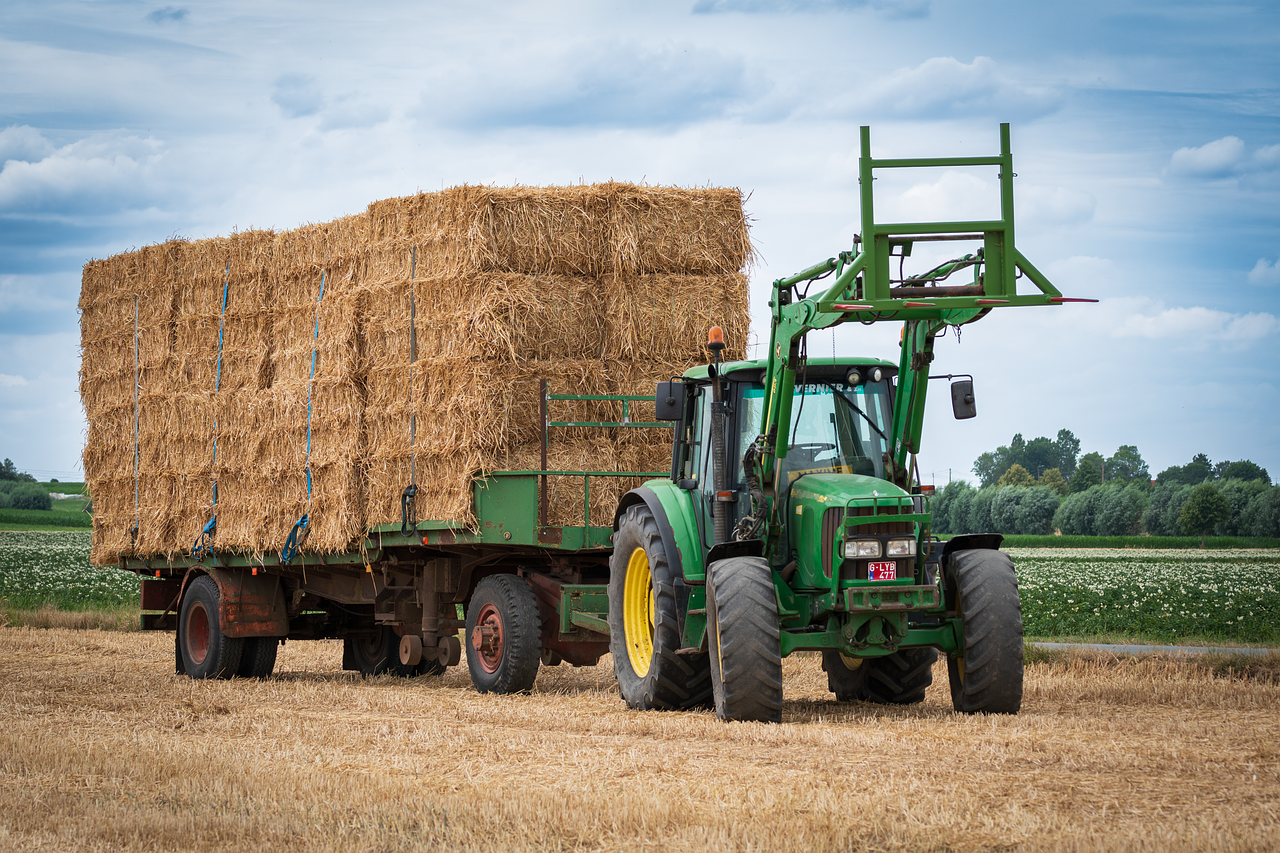 Straw bales that can be used in building construction.